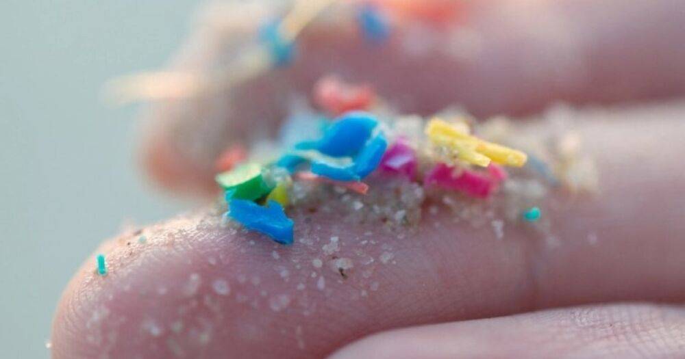 Пластмассовый мир победил. Ученые создали новый пластик, изготовленный не из сырой нефти