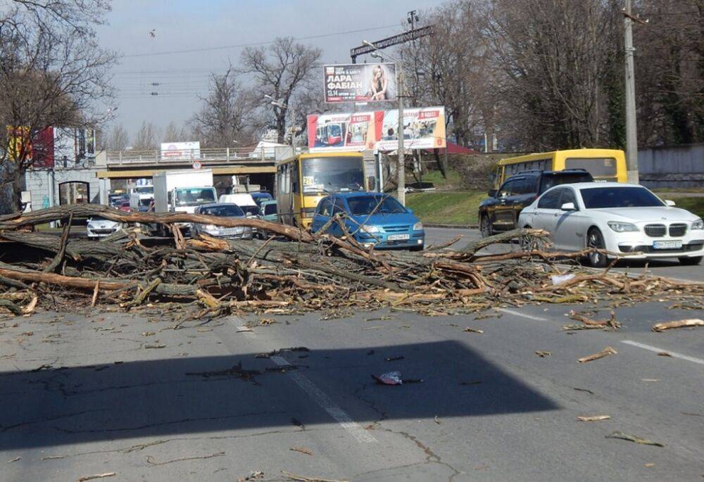 Деревья в Одессе продолжают падать, будьте осторожны