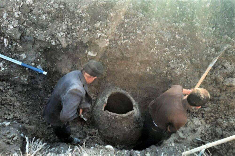 В Сурхандарье во время рытья канавы обнаружили гигантский кувшин, пролежавший в земле больше 2 тысяч лет