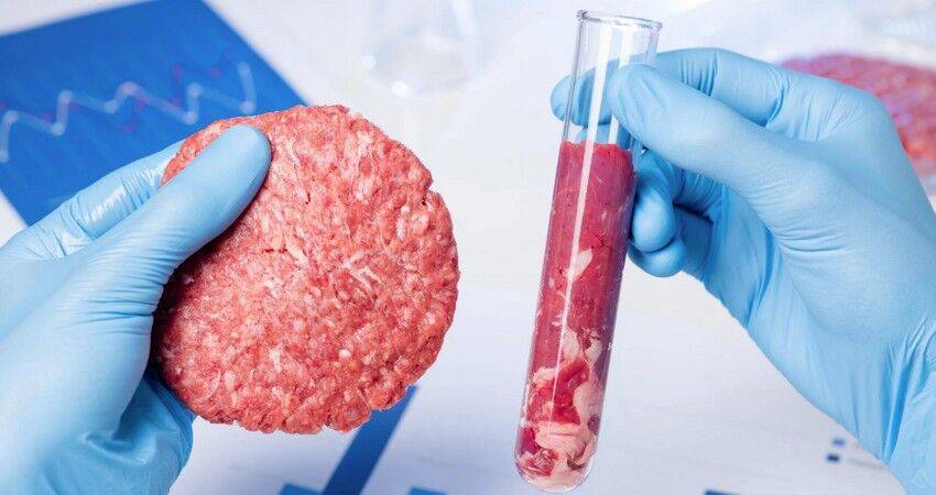 В Италии хотят ввести запрет на «клеточное» мясо