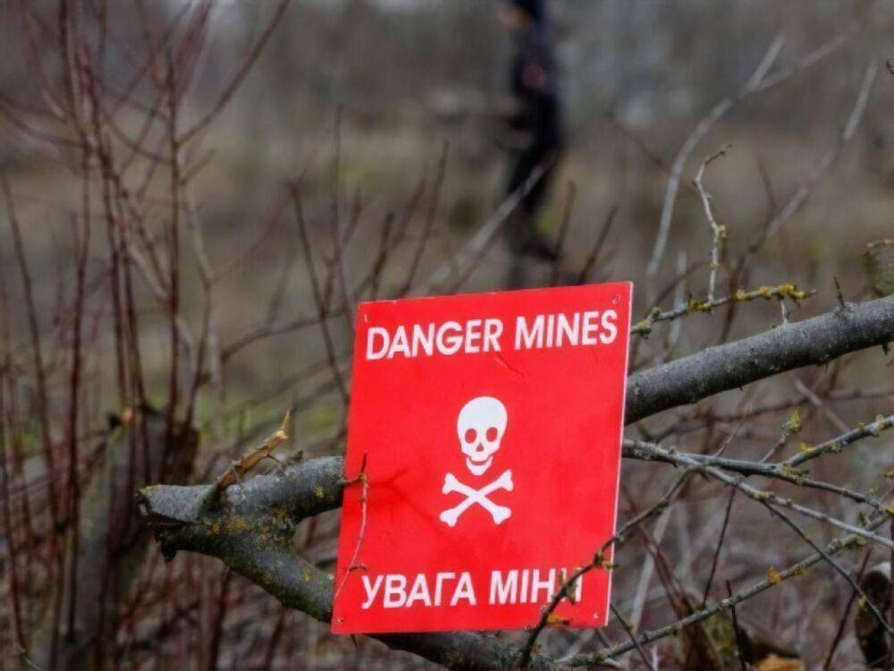В Херсонской области взорвалась оставлення россиянами мина, есть погибший и раненый – ОВА