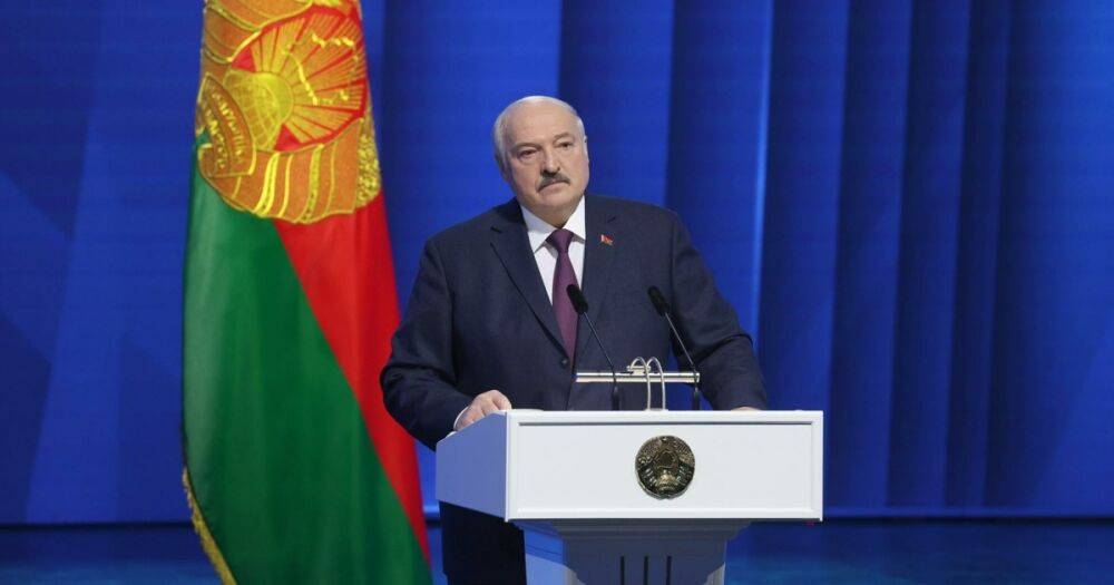 "Попытаюсь рискнуть": Лукашенко вновь предложил Украине и РФ заключить перемирие (видео)