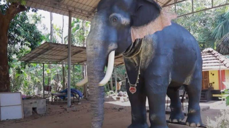 Индийский храм заменил живого ритуального слона на механического