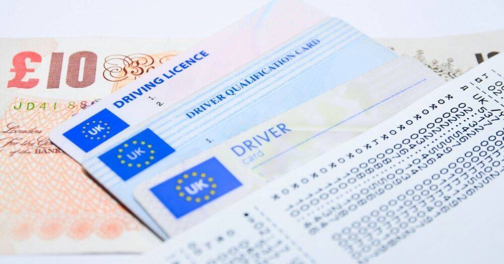 По примеру "Дії": в Европе предложили выдавать цифровые водительские права
