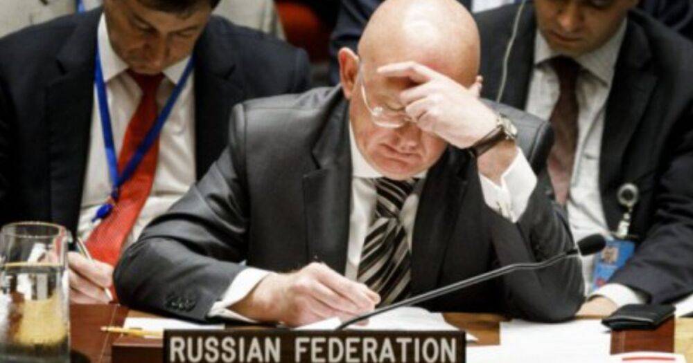Россия возглавила на месяц Совбез ООН. Страны Балтии протестуют