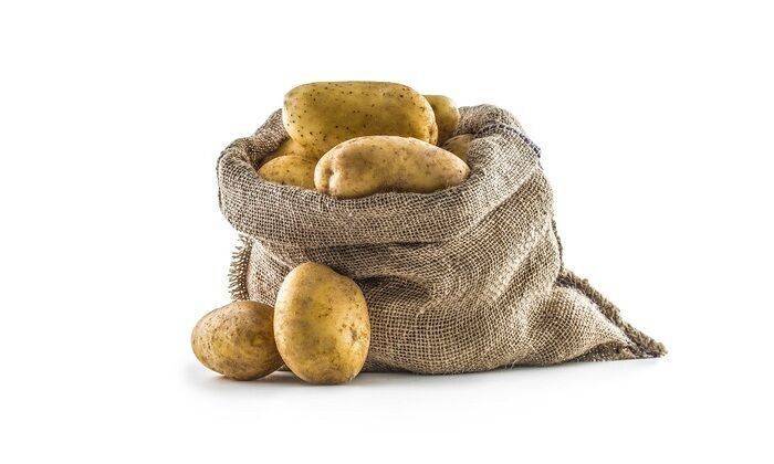 Отменный картофель - на свалку