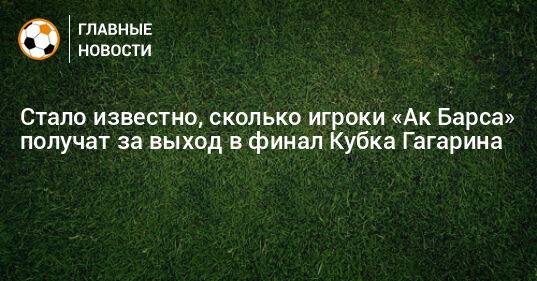 Стало известно, сколько игроки «Ак Барса» получат за выход в финал Кубка Гагарина