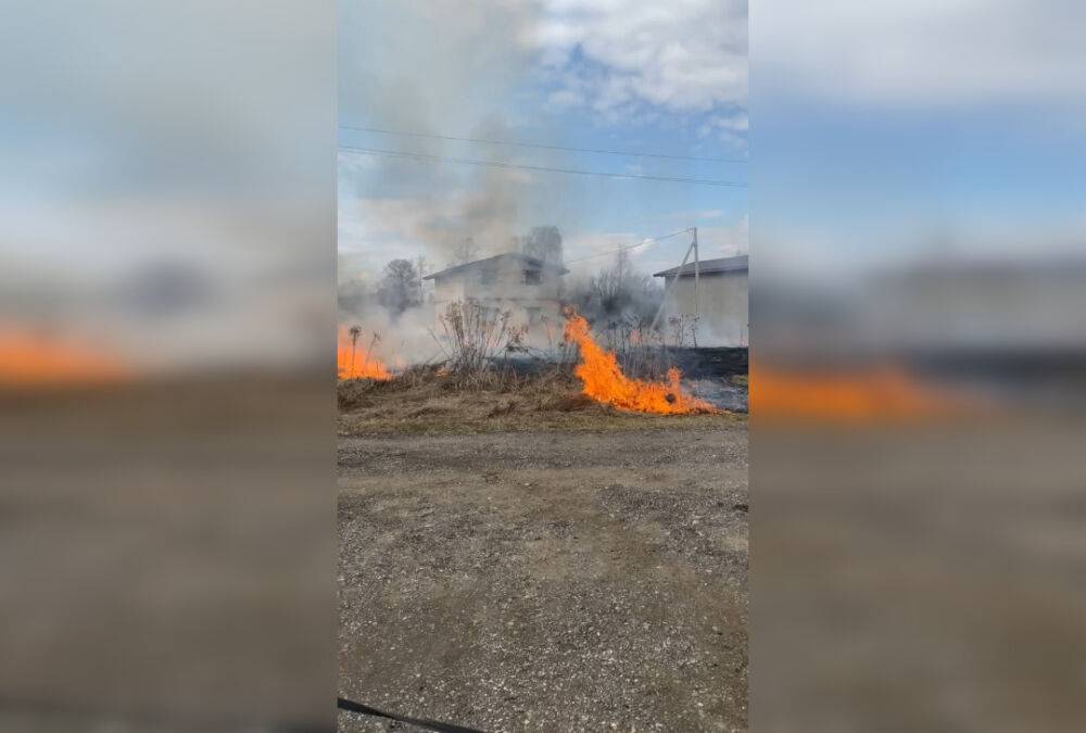 В Тверской области официально начался пожароопасный сезон