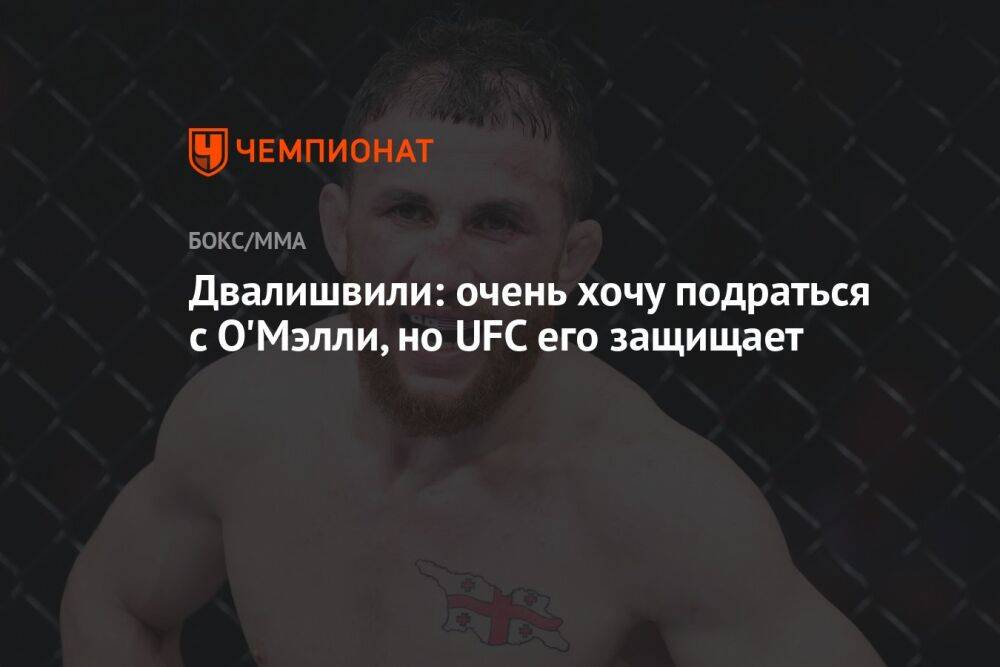 Двалишвили: очень хочу подраться с О'Мэлли, но UFC его защищает