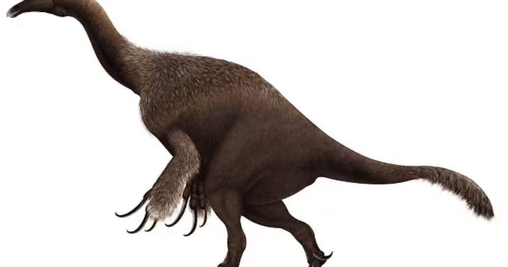 Динозавр Руки-ножницы. Ученые нашли окаменелость экстраординарного предка современных птиц