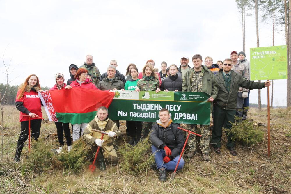 В Гродненской области стартовала акция «Неделя леса»