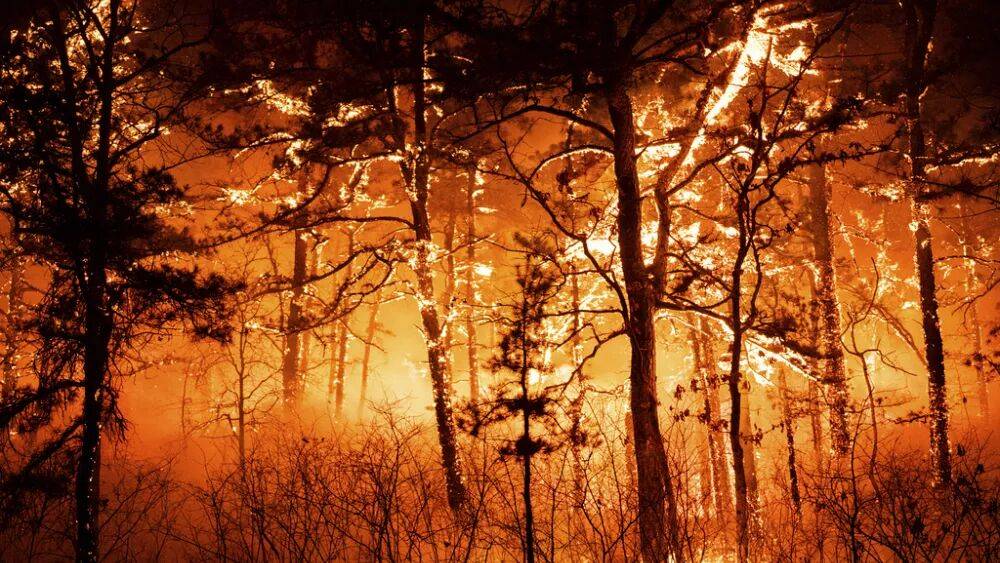 Первый природный пожар года бушует во французских Пиренеях
