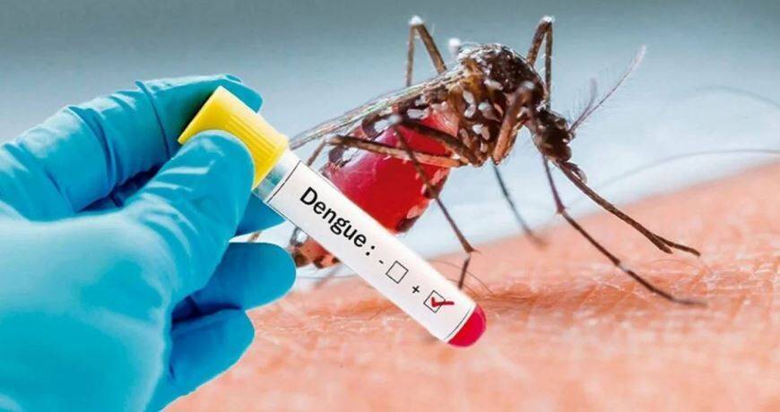 В Аргентине зафиксировали 40 тысяч зараженных лихорадкой денге