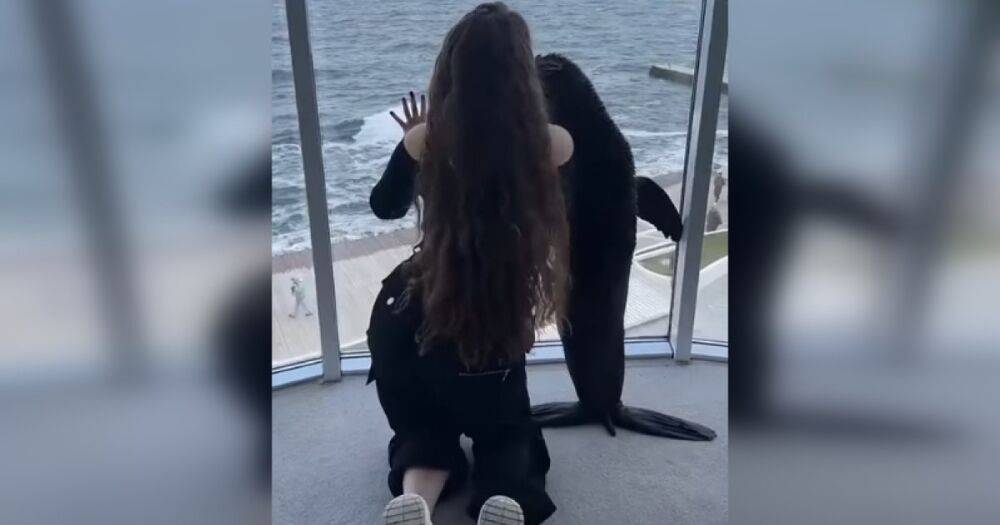 Дельфинарий в Одессе попал в скандал из-за роликов с морскими котиками в Tik-Tok (видео)