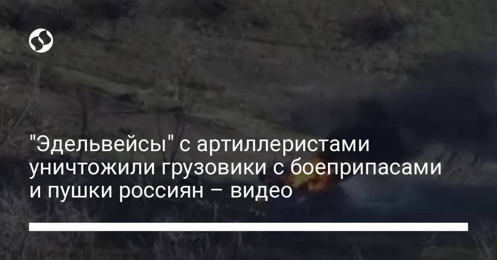 "Эдельвейсы" с артиллеристами уничтожили грузовики с боеприпасами и пушки россиян – видео