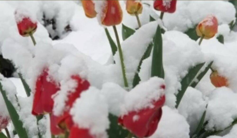 Неделя начнется похолоданием и снегом: синоптик Диденко ошарашила прогнозом на понедельник, 3 апреля