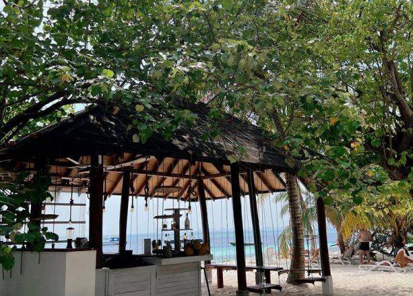 Уникальный климат, бесплатные обеды и попугай-сторож: восторженный отзыв о Мальдивах