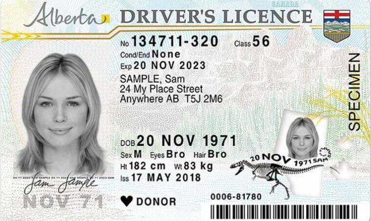 Канадская провинция разрешила обменивать украинские водительские удостоверения без дополнительного экзамена