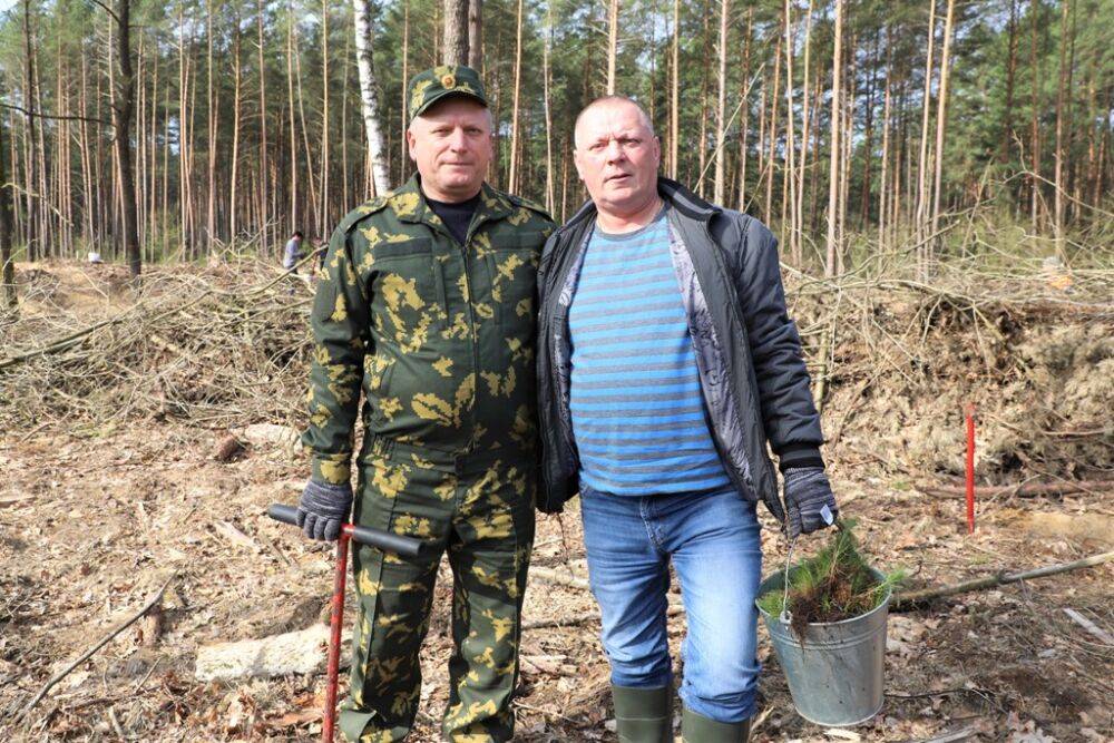 В заключительный день акции «Неделя леса» сотрудники Комитета госконтроля области трудились на территории Скидельского лесхоза