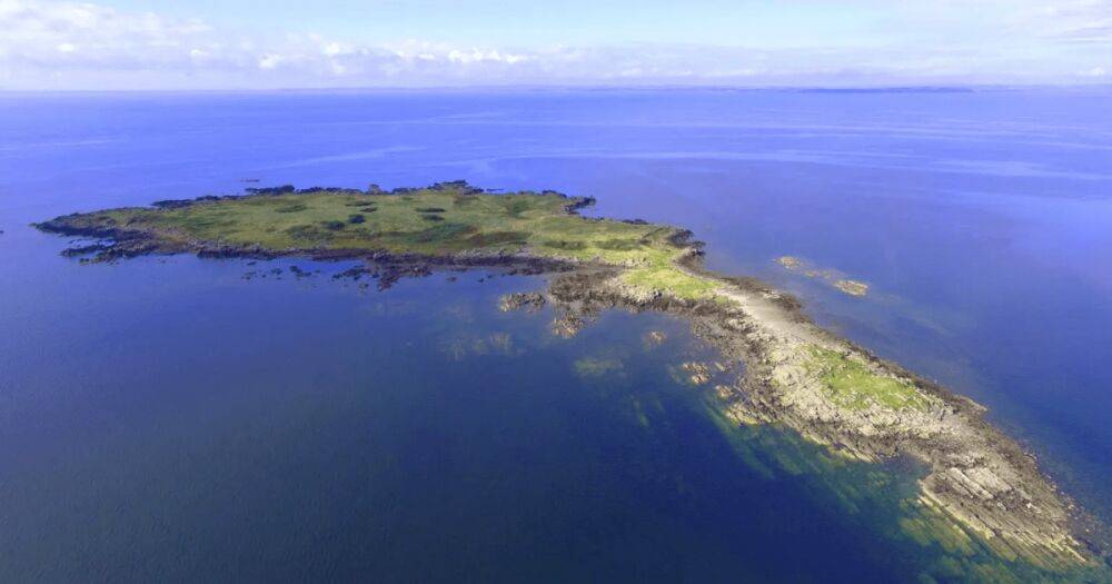 Никаких зданий и людей: у берегов Шотландии продают "особый" необитаемый остров (фото)
