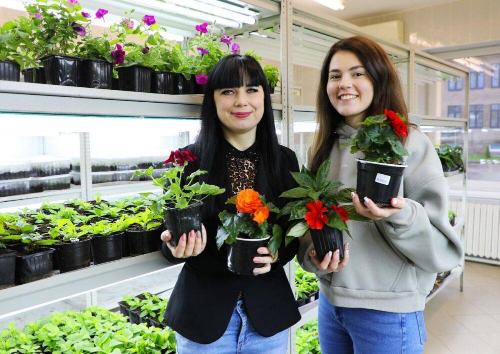 Специалисты Гродненского зонального института растениеводства НАН Беларуси предлагают качественную рассаду овощных культур и цветов