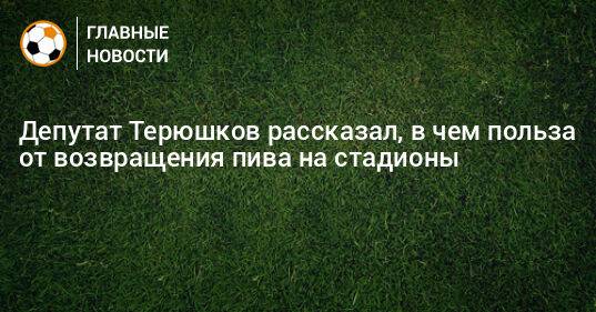 Депутат Терюшков рассказал, в чем польза от возвращения пива на стадионы