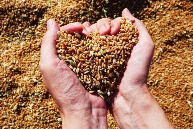 Еврокомиссия заявила о достижении договоренностей с соседями Украины по импорту зерна. В МИД выразили протест
