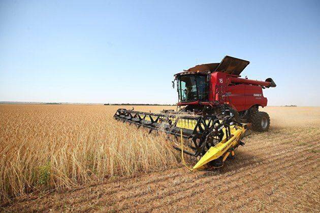 Bloomberg: засушливая погода в Канаде может привести к дефициту пшеницы на мировых рынках