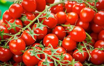 В Минске в продаже заметили помидоры по $18 за килограмм