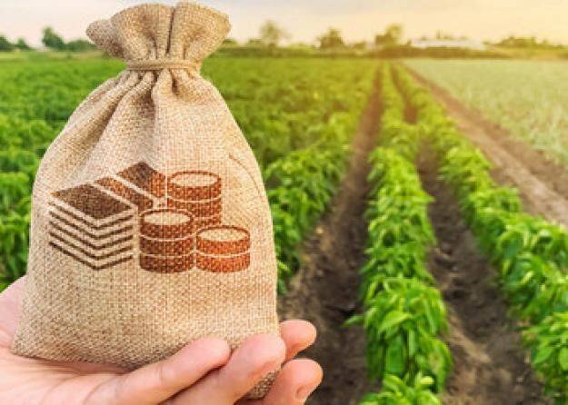 «Доступные кредиты 5-7-9»: Аграрии получили уже почти 12 миллиардов гривен