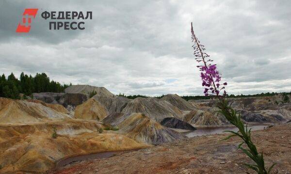 Крупнейшего в России производителя глины могут наказать за необоснованное повышение цен