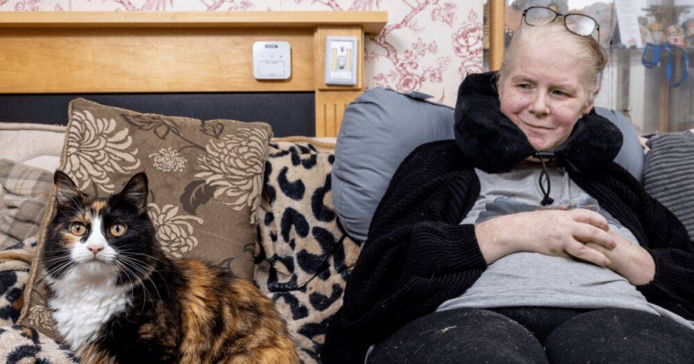 Кусала и прыгала: в Британии кошка спасла от комы хозяйку, страдающую диабетом (видео)