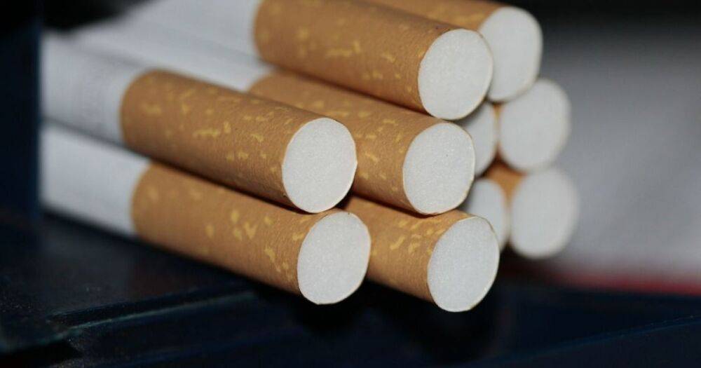 Скандальная нелегальная табачная фабрика из Желтых Вод, закрытая налоговой в 2022 году, "ожила" в Тернопольской области