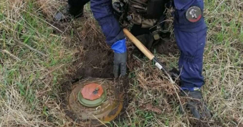 На Херсонщине на российской мине взорвался тракторист