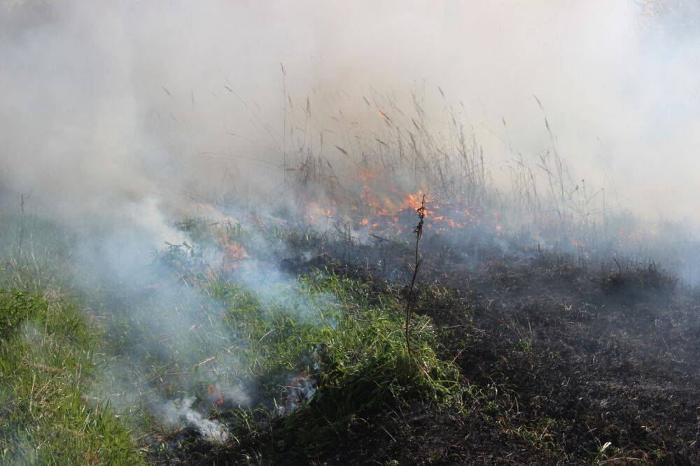 В двух районах Тверской области тушили природные пожары