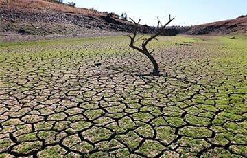 Более 90% материковой Португалии страдает от засухи