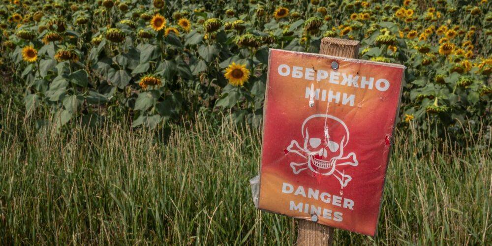 20% с начала года. Стоимость сельскохозяйственной земли в Украине растет