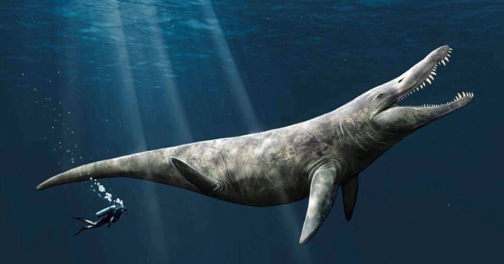 Океан рассекали гиганты: ученые выяснили точный размер чудовищ юрских морей