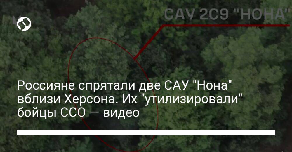 Россияне спрятали две САУ "Нона" вблизи Херсона. Их "утилизировали" бойцы ССО — видео