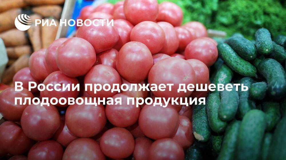 Росстат снова зафиксировал снижение цен на плодоовощную продукцию за период с 3 по 10 мая