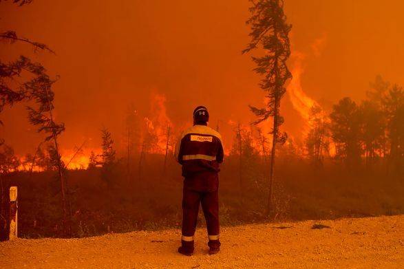 Лесные пожары в Канаде и россии: ученые бьют тревогу