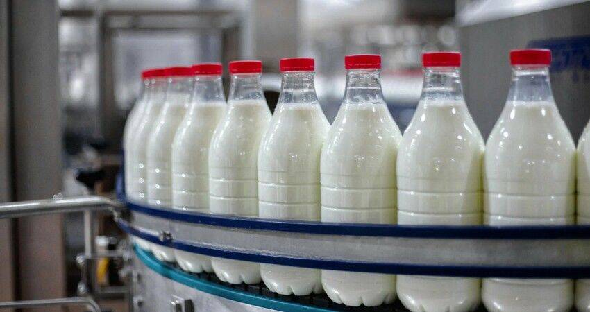 Владелец Exponenta инвестировал в четвертый молочный завод в России