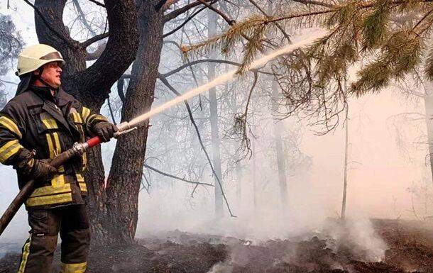 В Киевской области потушили масштабный лесной пожар