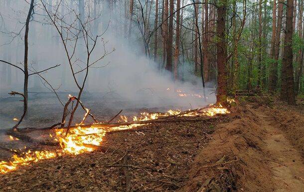 В Черниговской области из-за обстрелов - масштабные лесные пожары