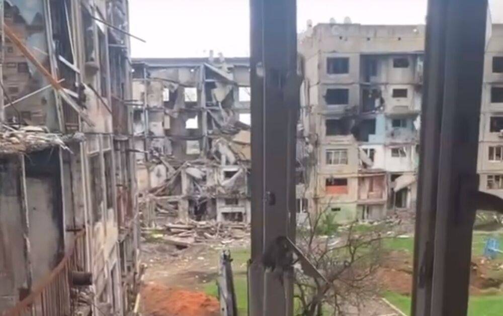 "Мертвая зона": в сети показали, как сейчас выглядит оккупированная Тошковка на Луганщине