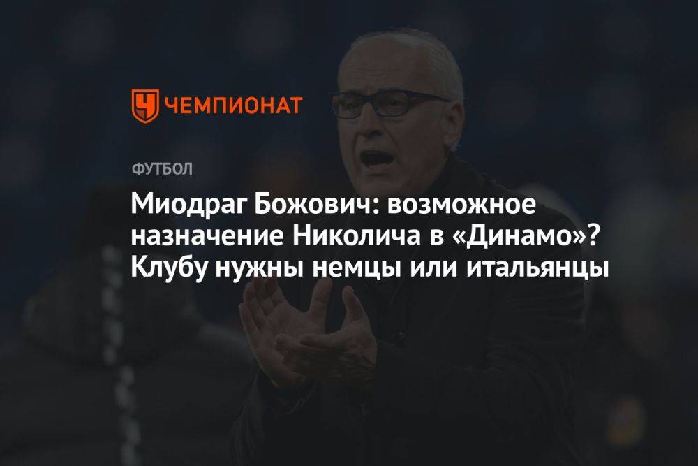 Миодраг Божович: возможное назначение Николича в «Динамо»? Клубу нужны немцы или итальянцы