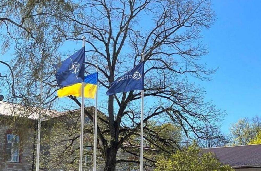 "Присоединение Украины усилит эффективность Киберцентра НАТО", – нардеп Пушкаренко.