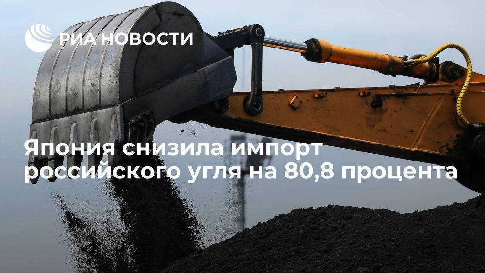 Минфин Японии: в апреле 2023 года импорт угля из России снизился на 80,8 процента