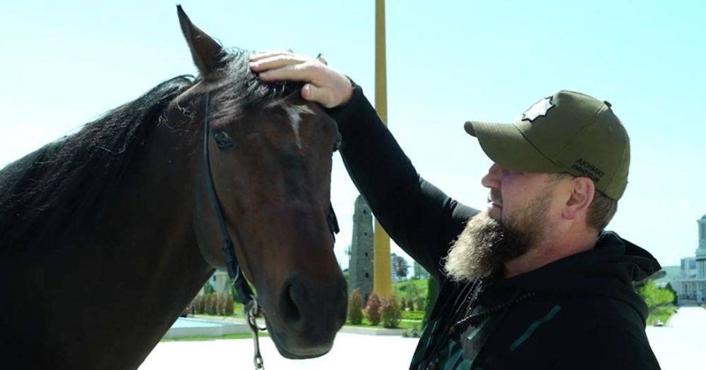 9 лет не видел "красивого скакуна": Кадыров заявил, что украл коня у спецслужб Украины (видео)