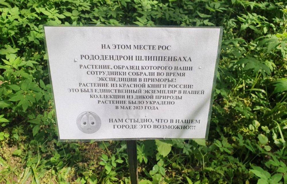 В Твери из Ботанического сада ТвГУ украли редчайшее растение